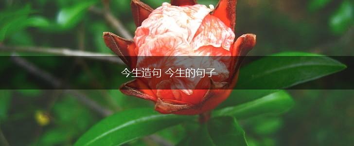 今生造句 今生的句子,第1张 今生造句 今生的句子,第1张