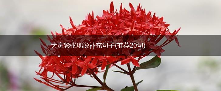 大家紧张地说补充句子(推荐20句),第1张