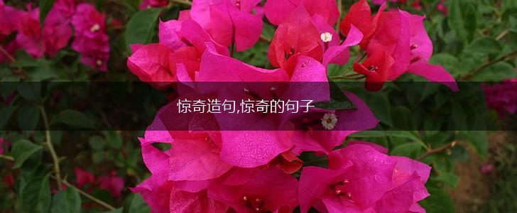 惊奇造句,惊奇的句子,第1张 惊奇造句,惊奇的句子,第1张