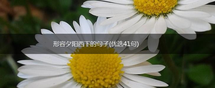 形容夕阳西下的句子(优选41句),第1张
