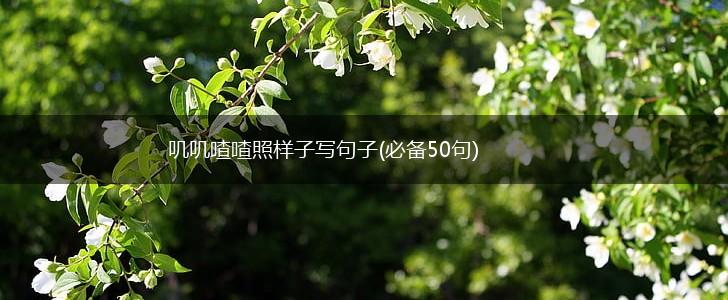 叽叽喳喳照样子写句子(必备50句),第1张