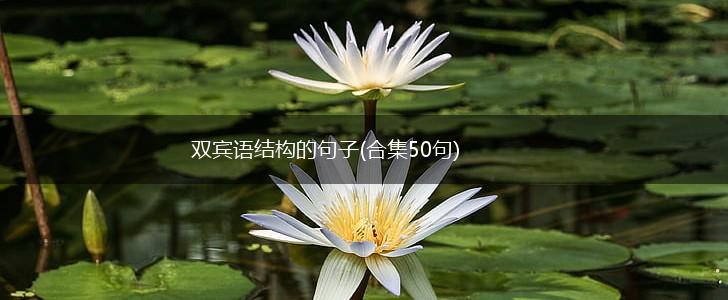 双宾语结构的句子(合集50句),第1张