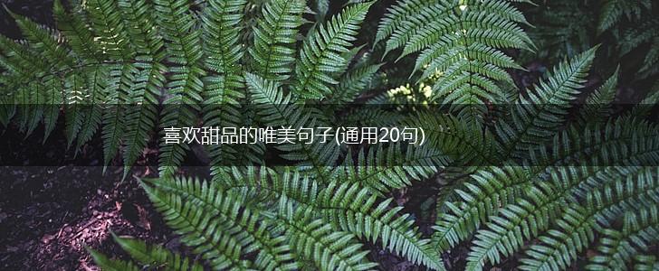喜欢甜品的唯美句子(通用20句),第1张