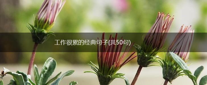 工作很累的经典句子(共50句),第1张