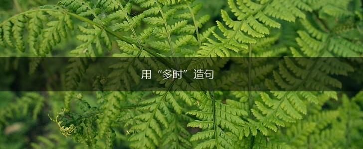 用“多时”造句,第1张 用“多时”造句,第1张