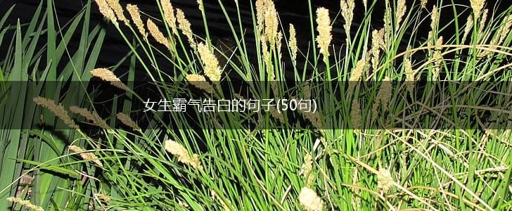 女生霸气告白的句子(50句),第1张