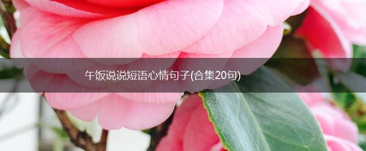 午饭说说短语心情句子(合集20句),第1张