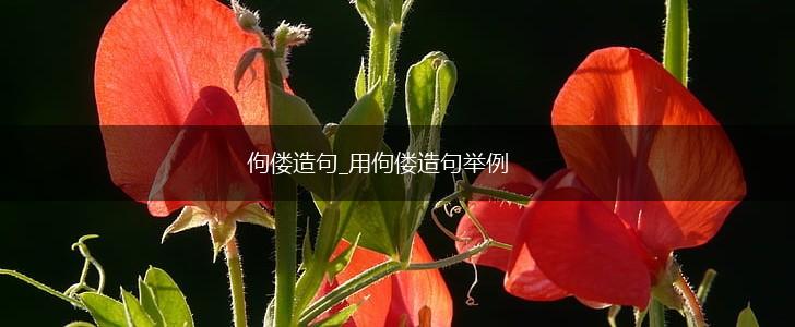 佝偻造句_用佝偻造句举例,第1张 佝偻造句_用佝偻造句举例,第1张