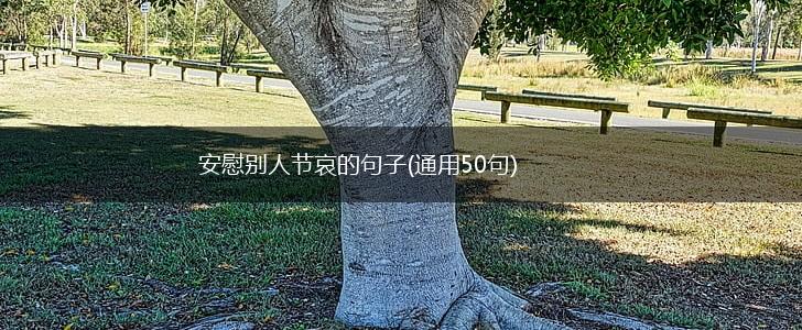 安慰别人节哀的句子(通用50句),第1张
