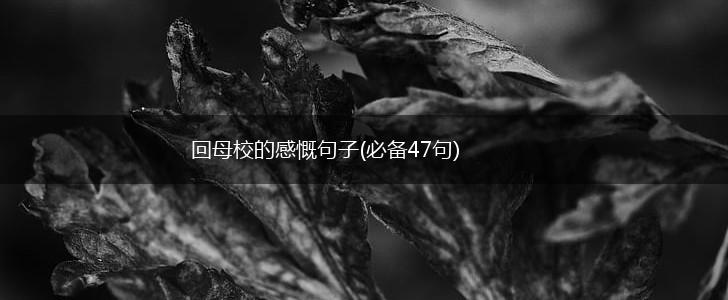回母校的感慨句子(必备47句),第1张