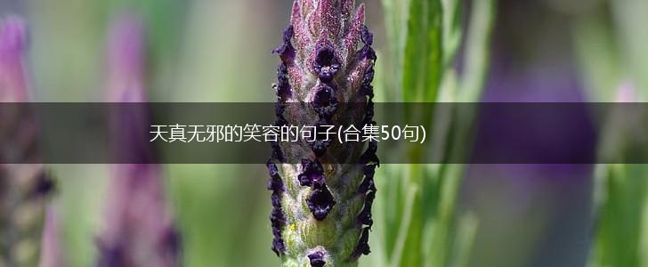天真无邪的笑容的句子(合集50句),第1张