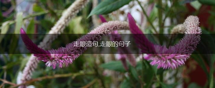 走眼造句,走眼的句子,第1张
