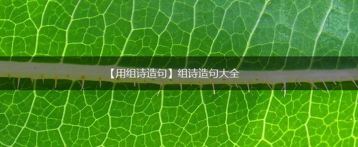 【用组诗造句】组诗造句大全,第1张
