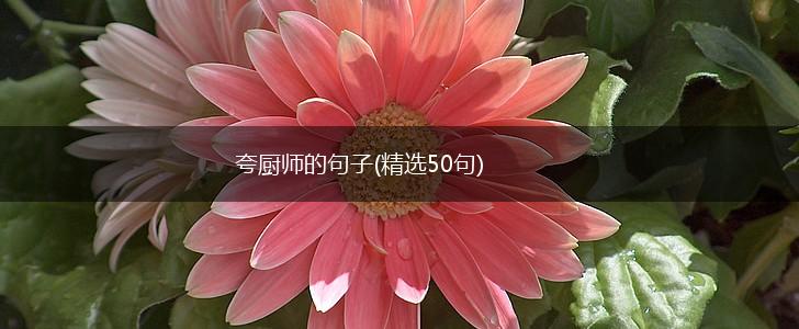 夸厨师的句子(精选50句),第1张
