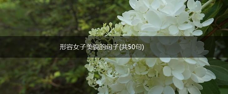 形容女子美貌的句子(共50句),第1张