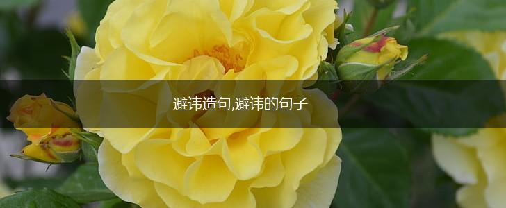 避讳造句,避讳的句子,第1张