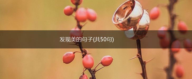 发现美的句子(共50句),第1张