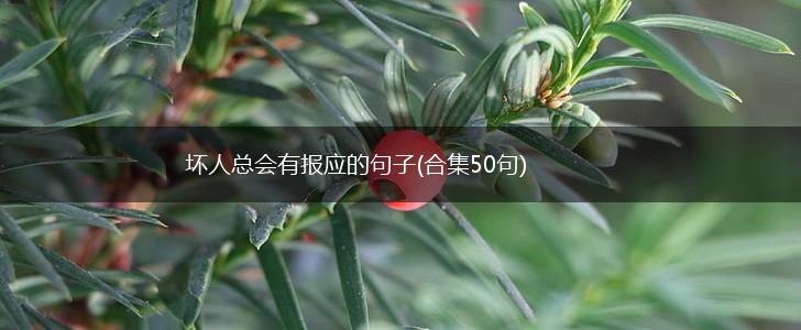 坏人总会有报应的句子(合集50句),第1张
