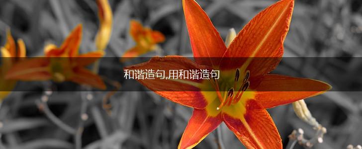 和谐造句,用和谐造句,第1张 和谐造句,用和谐造句,第1张