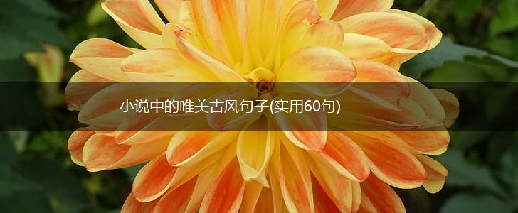 小说中的唯美古风句子(实用60句),第1张