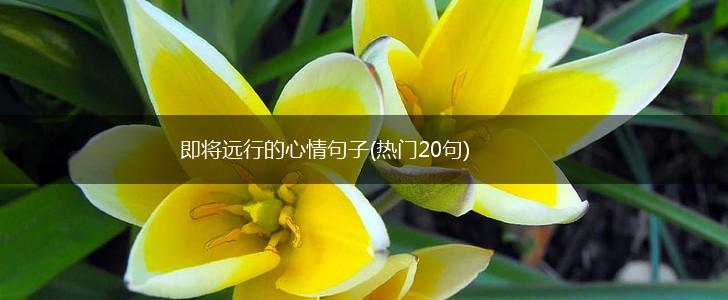 即将远行的心情句子(热门20句),第1张