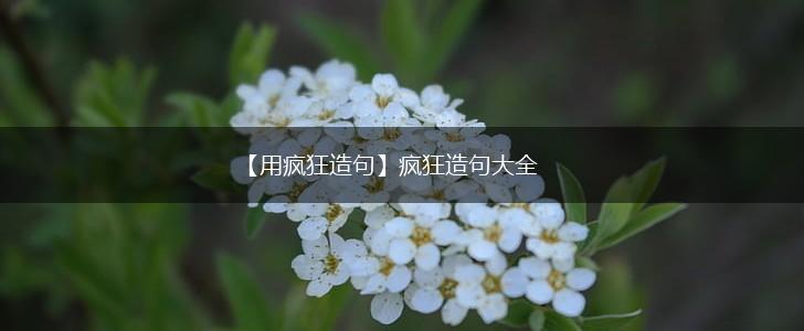 【用疯狂造句】疯狂造句大全,第1张 【用疯狂造句】疯狂造句大全,第1张