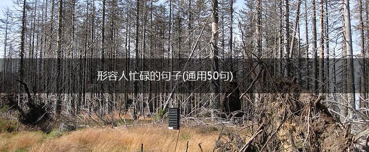 形容人忙碌的句子(通用50句),第1张