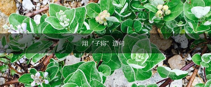 用“子将”造句,第1张