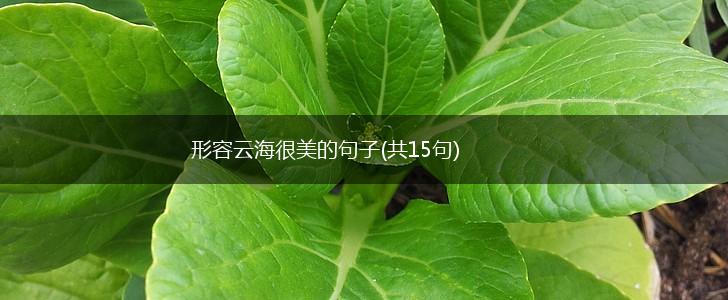 形容云海很美的句子(共15句),第1张