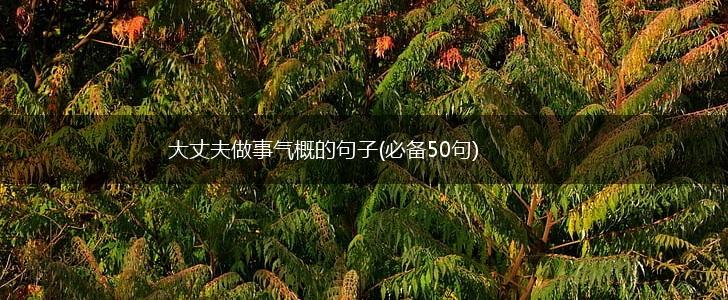 大丈夫做事气概的句子(必备50句),第1张