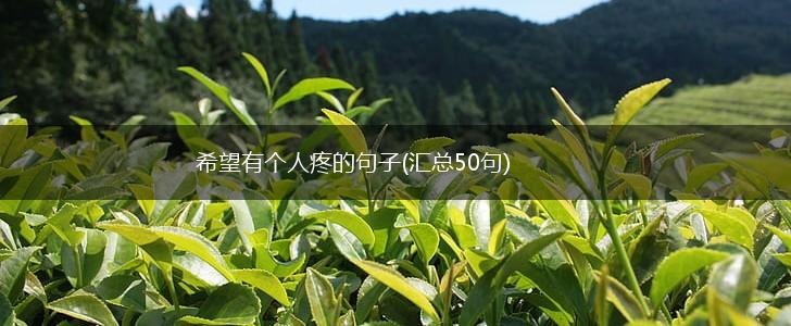 希望有个人疼的句子(汇总50句),第1张