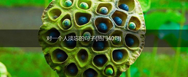 对一个人淡忘的句子(热门40句),第1张