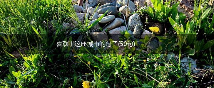 喜欢上这座城市的句子(50句),第1张