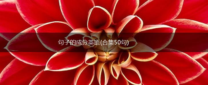 句子的成分英语(合集50句),第1张