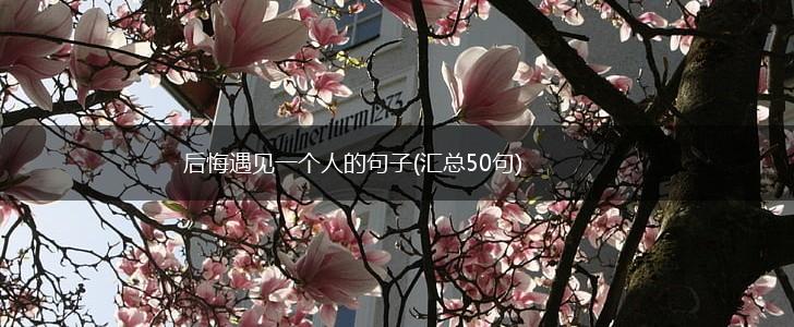 后悔遇见一个人的句子(汇总50句),第1张
