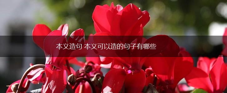 本义造句 本义可以造的句子有哪些,第1张