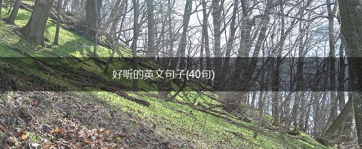 好听的英文句子(40句),第1张