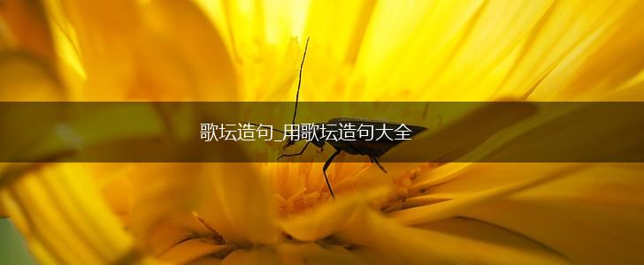 歌坛造句_用歌坛造句大全,第1张 歌坛造句_用歌坛造句大全,第1张
