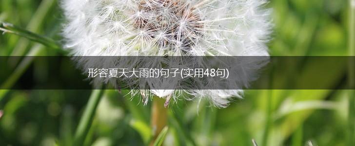 形容夏天大雨的句子(实用48句),第1张