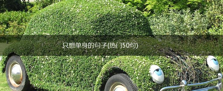 只想单身的句子(热门50句),第1张