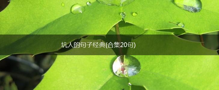 坑人的句子经典(合集20句),第1张