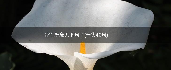 富有想象力的句子(合集40句),第1张