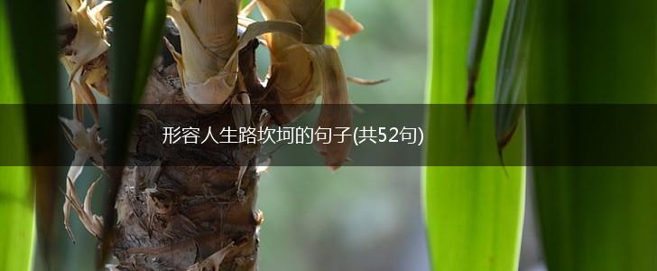 形容人生路坎坷的句子(共52句),第1张