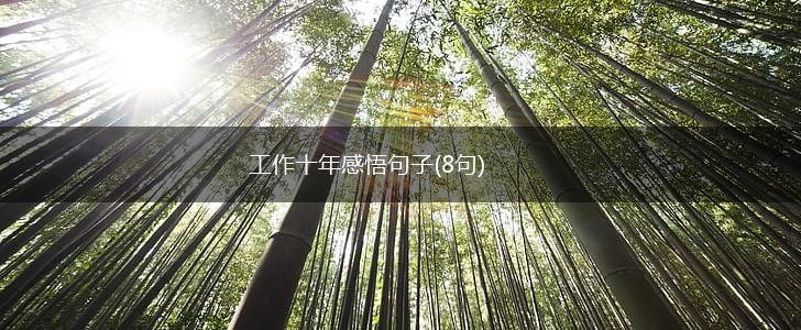 工作十年感悟句子(8句),第1张