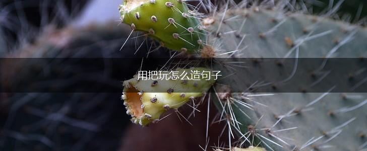 用把玩怎么造句子,第1张