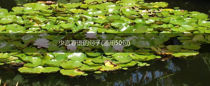 少言寡语的句子(通用50句),第1张
