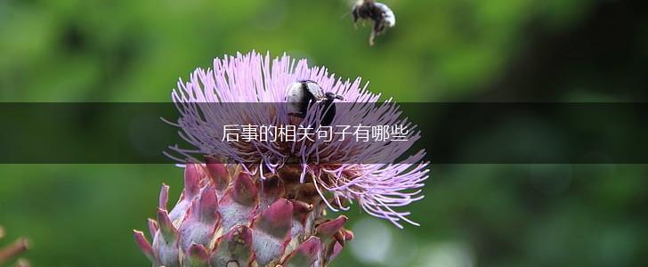 后事的相关句子有哪些,第1张 后事的相关句子有哪些,第1张