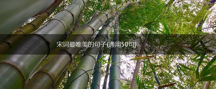 宋词最唯美的句子(通用50句),第1张