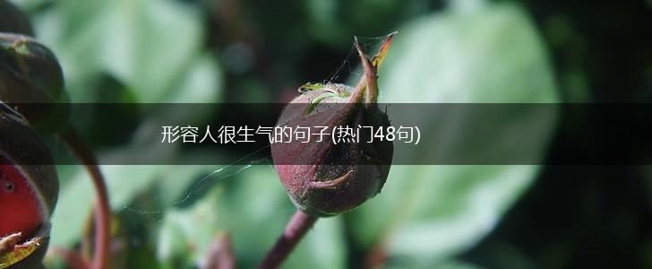 形容人很生气的句子(热门48句),第1张
