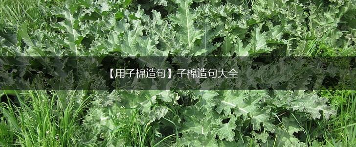 【用子棉造句】子棉造句大全,第1张